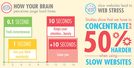 Your Brain & Web Performance